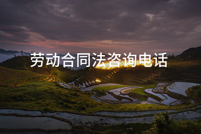 劳动合同法咨询电话