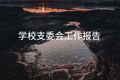 学校支委会工作报告