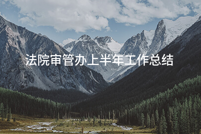 法院审管办上半年工作总结