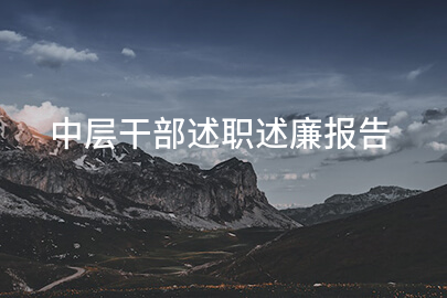 中层干部述职述廉报告