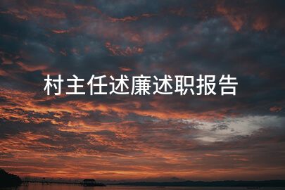 村主任述廉述职报告