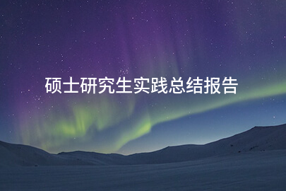 硕士研究生实践总结报告