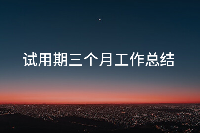 试用期三个月工作总结