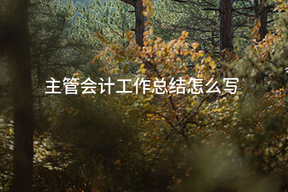 主管会计工作总结怎么写