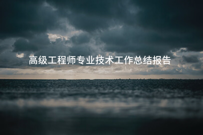 高级工程师专业技术工作总结报告