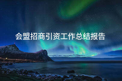 会盟招商引资工作总结报告