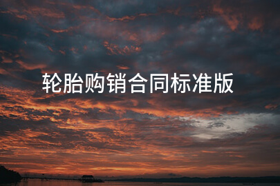 轮胎购销合同标准版