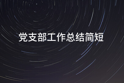 党支部工作总结简短