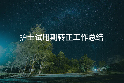 护士试用期转正工作总结
