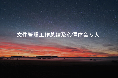文件管理工作总结及心得体会专人
