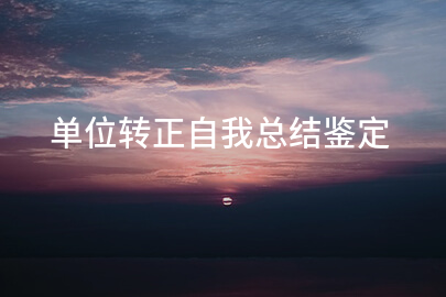 单位转正自我总结鉴定