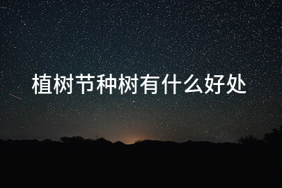植树节种树有什么好处
