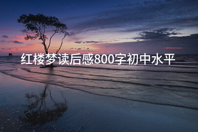 红楼梦读后感800字初中水平