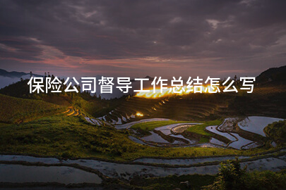保险公司督导工作总结怎么写