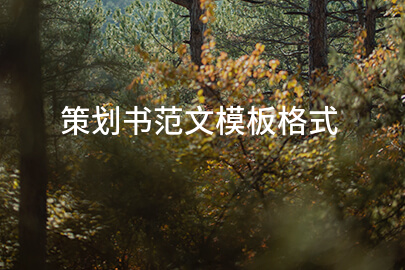 策划书范文模板格式
