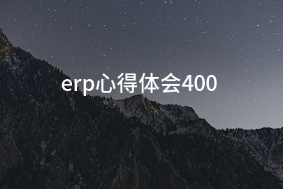 erp心得体会400