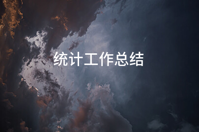 统计工作总结