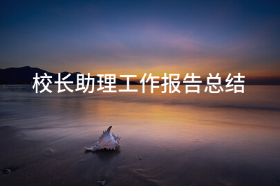 校长助理工作报告总结