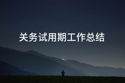 关务试用期工作总结