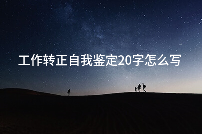工作转正自我鉴定20字怎么写