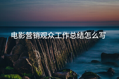 电影营销观众工作总结怎么写