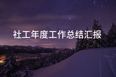 社工年度工作总结汇报