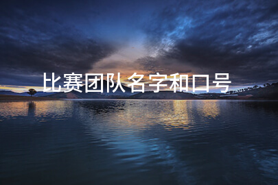 比赛团队名字和口号