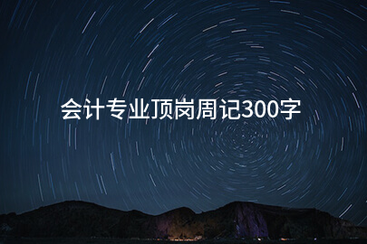 会计专业顶岗周记300字