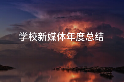 学校新媒体年度总结