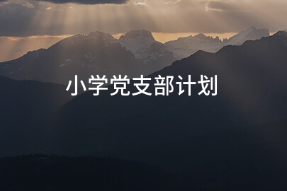 小学党支部计划