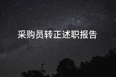 采购员转正述职报告