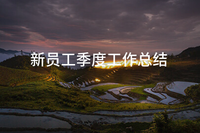 新员工季度工作总结