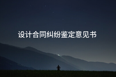 设计合同纠纷鉴定意见书