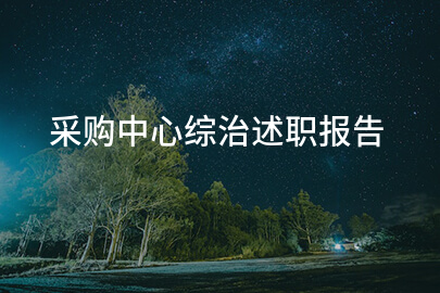 采购中心综治述职报告