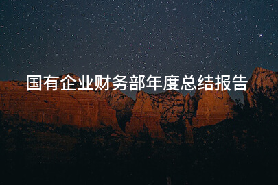 国有企业财务部年度总结报告