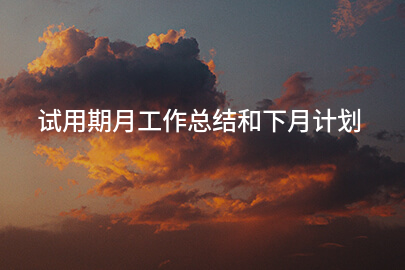 试用期月工作总结和下月计划