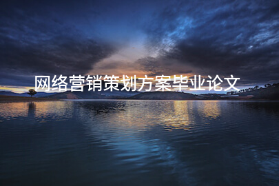 网络营销策划方案毕业论文