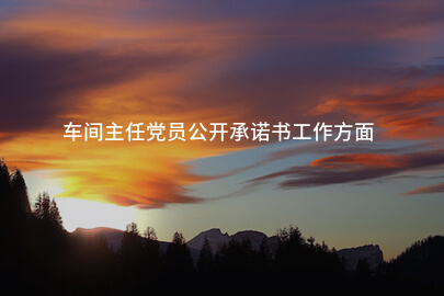 车间主任党员公开承诺书工作方面
