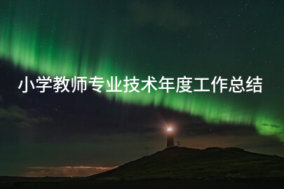 小学教师专业技术年度工作总结