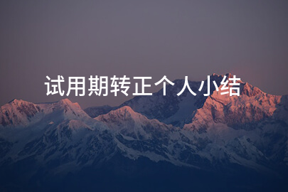 试用期转正个人小结