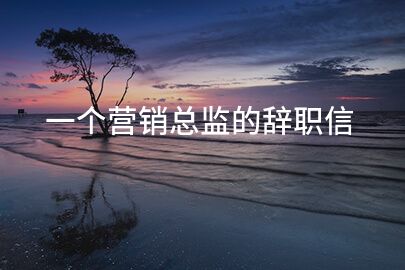 一个营销总监的辞职信