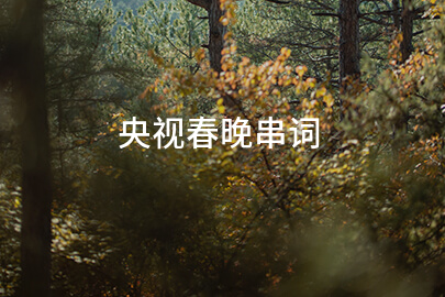 央视春晚串词