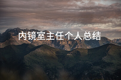 内镜室主任个人总结