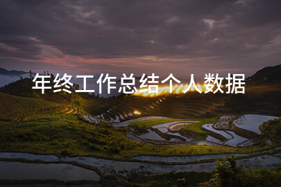 年终工作总结个人数据