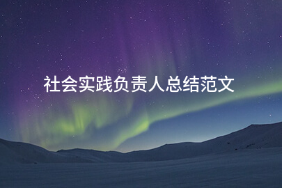 社会实践负责人总结范文