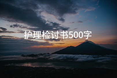 护理检讨书500字