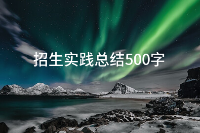 招生实践总结500字