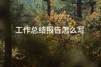 工作总结报告怎么写