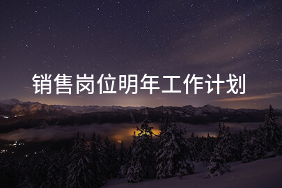 销售岗位明年工作计划