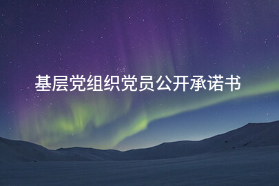 基层党组织党员公开承诺书